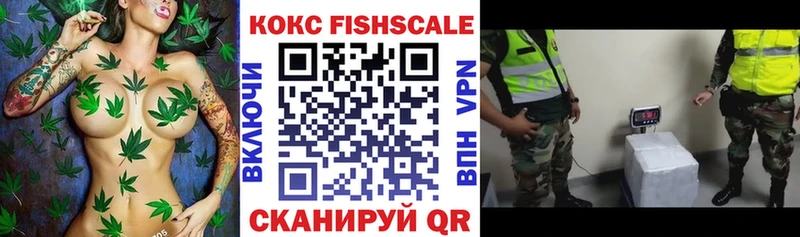 Кокаин Эквадор Каневская