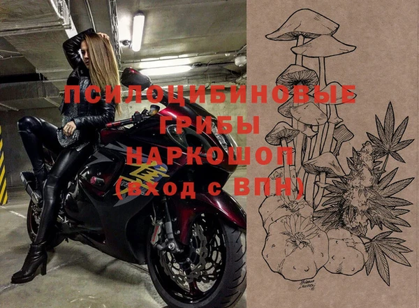 стафф Верея