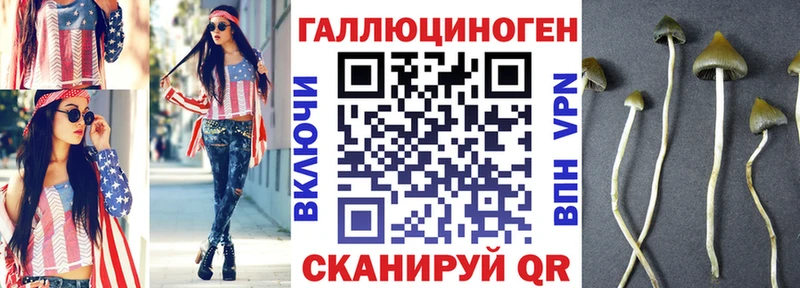 Псилоцибиновые грибы мицелий  как найти наркотики  Каневская 
